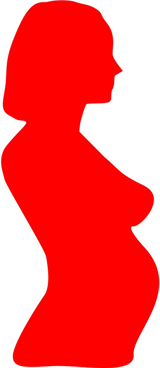 Pregnant Pregnancy Bump Lady Png Image - Red Rabbit Cartoon Png (640x1280)