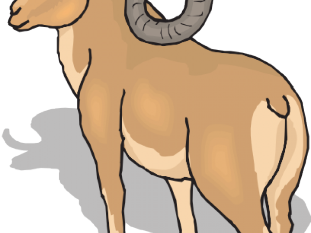 Dall Sheep Clipart Mountain Sheep - Ram Clip Art (640x480)