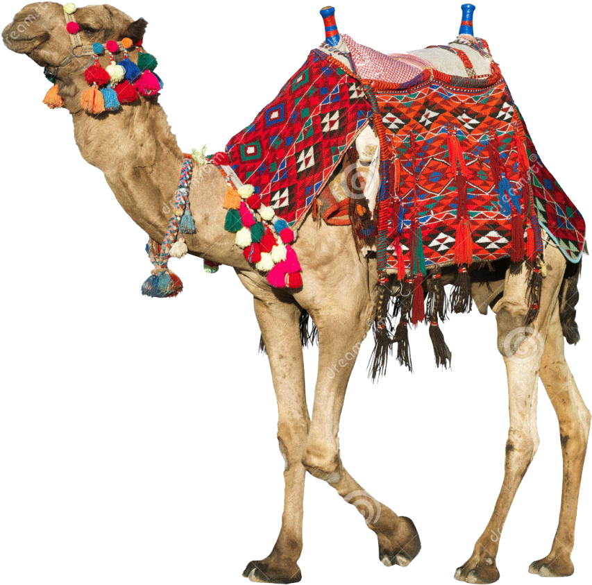 Family Tour Rajasthan - Camel Watercolor (1024x1002)