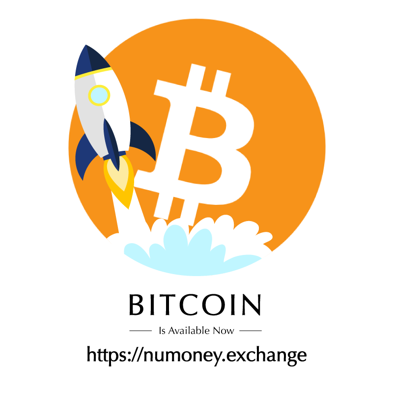 How Cool It Would Be To Ride On A Camel, Hahah 🐫 Upped - Arabian Camel (800x800)