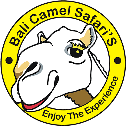 Bali Camel Safari (431x431)