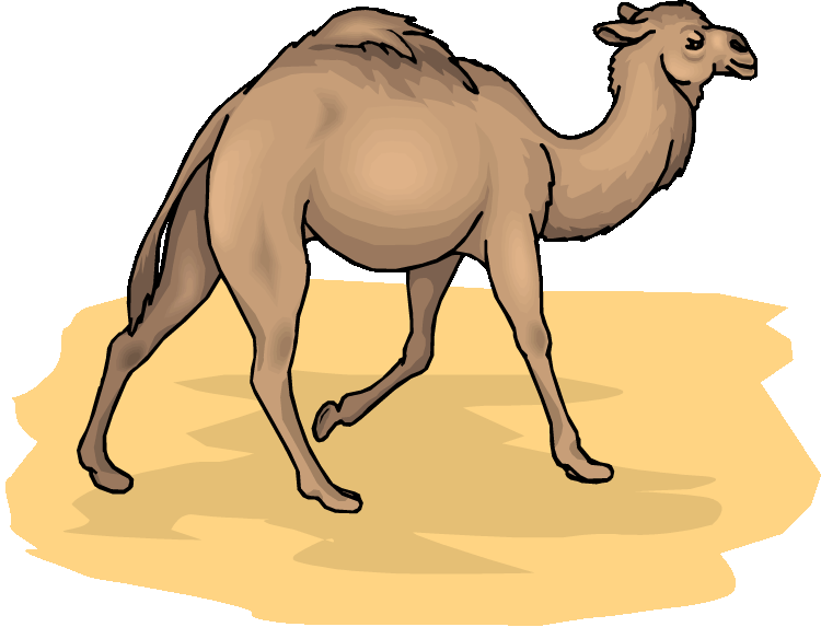 Desert Camel Clipart - Camels In The Desert Clipart (750x573)