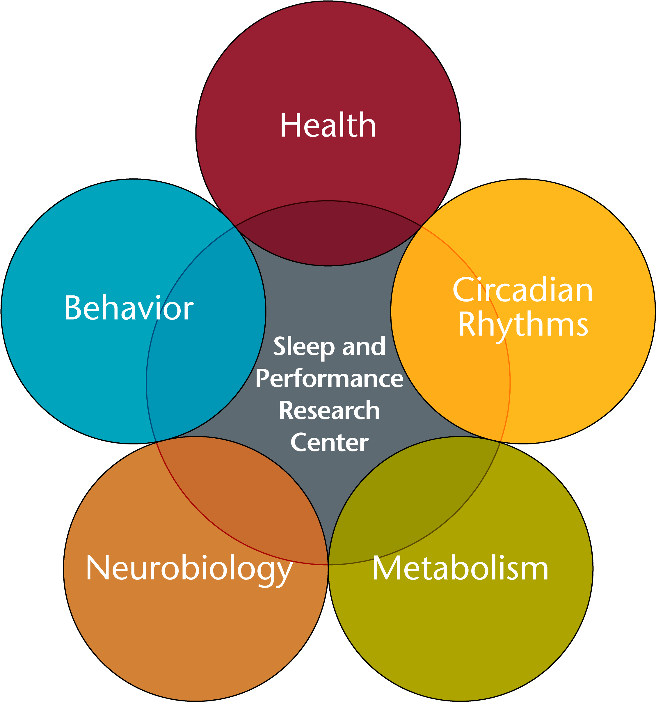 About Sleep And Performance Research Center Washington - Ciclo Sono Vigília E Neurotransmissores (3366x2598)