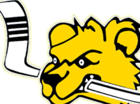 Brewins Youth Hockey - Brewins Youth Hockey (480x355)