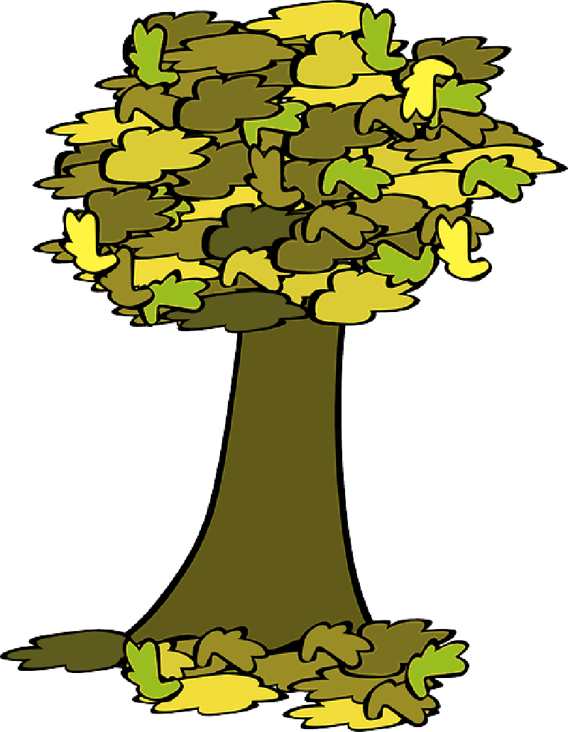 Fall, Tree, Coloured, Acorn, Cartoon, Trees, Plant - Fall Clip Art (800x1030)