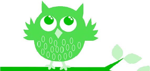 Owl (600x300)