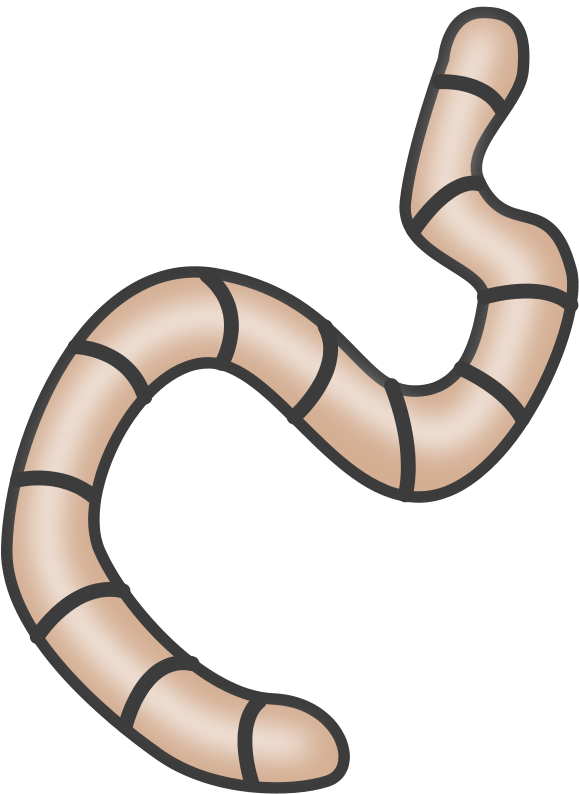 Earthworm Clip Art Download - Earthworm Clip Art Download (582x800)
