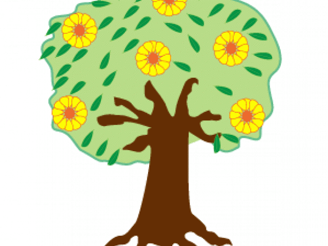Cartoon Tree With Branches - Drawing Cartoon Tree Transparent (640x480)