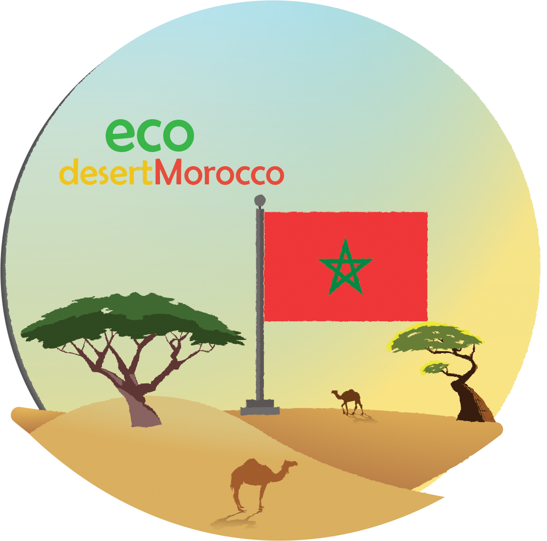 We Had Different Designs Concepts Until We Get To Final - Tourism Logos Desert (1084x1071)