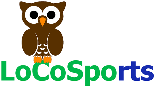 Fowler Memorial Scholarship - Cartoon Owl Shower Curtain (535x300)