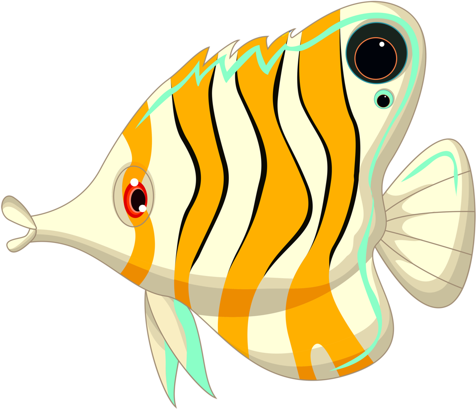 Image Du Blog Zezete2 - Angel Fish Cartoon (1024x860)