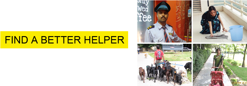 In Is Place To Find Helper For Offices And Homes - Pack Animal (1000x388)