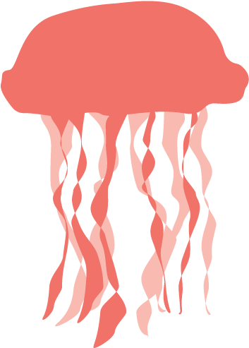 Jellyfish (800x624)