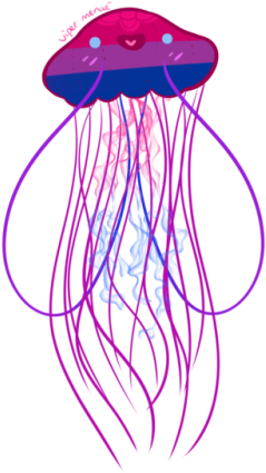 Transparent Jellyfish Png For Kids - Jellyfish (500x634)