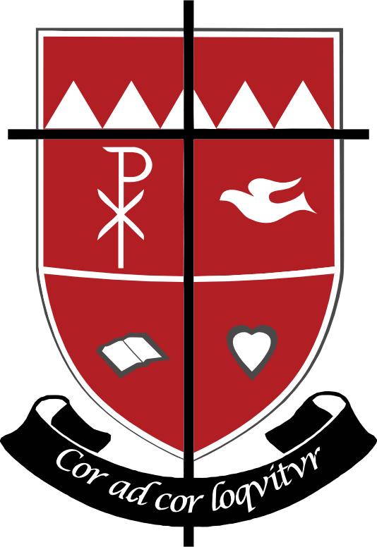 Logo - National Council For The Social Studies (534x776)