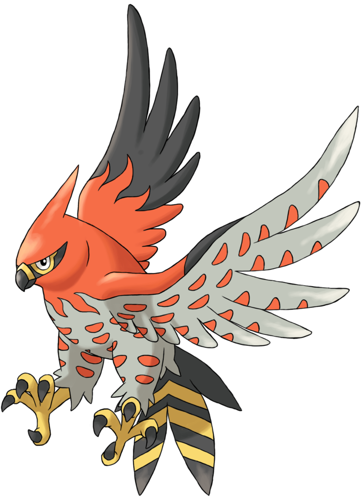 Pokemon Flambusard (1024x1024)