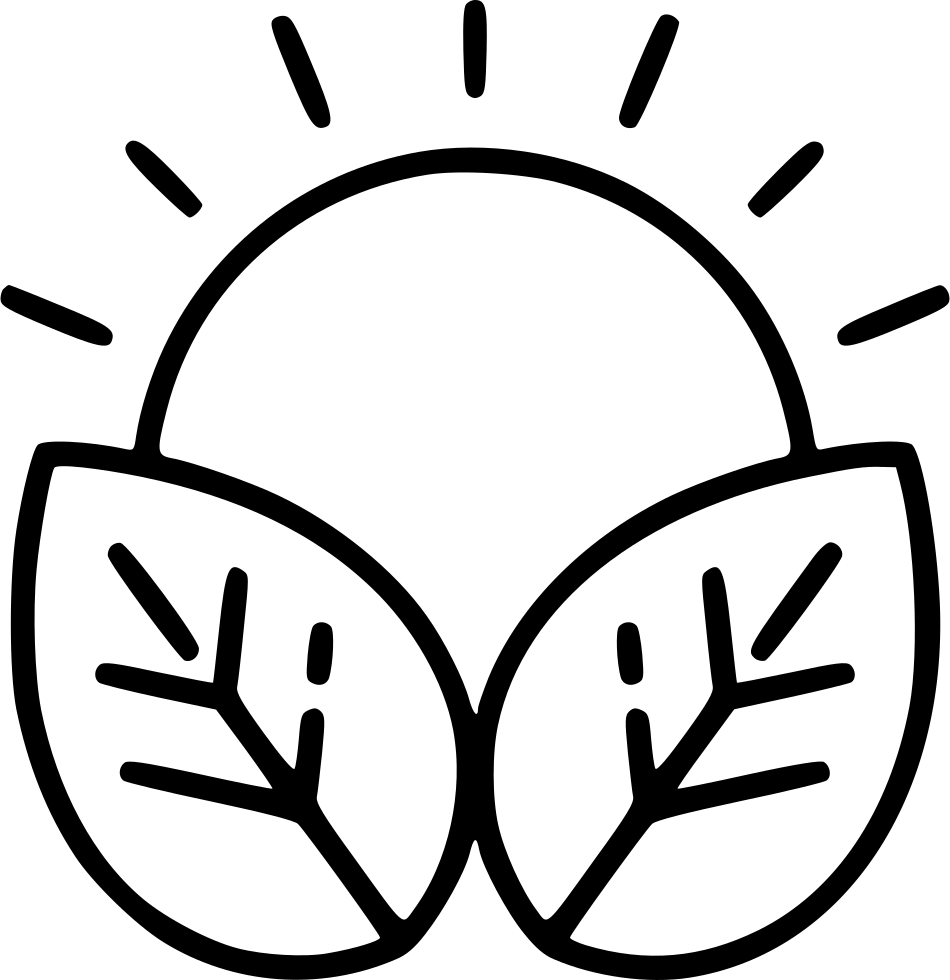 Natural Energy Comments - Flocon De Neige Simple (950x980)