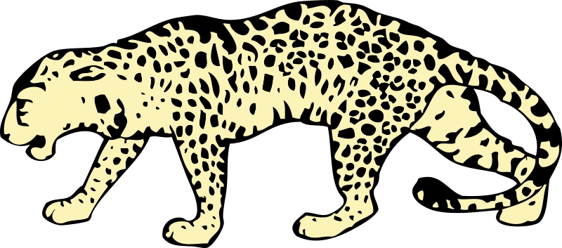 Jaguar Clip Art Graphics - Leopard Clip Art (800x353)