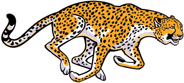 Set With African Animals - Cheetah Black And White (710x389)