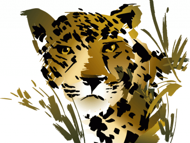Jaguar Clipart Rainforest Snake - Rainforest Animals Clipart (640x480)
