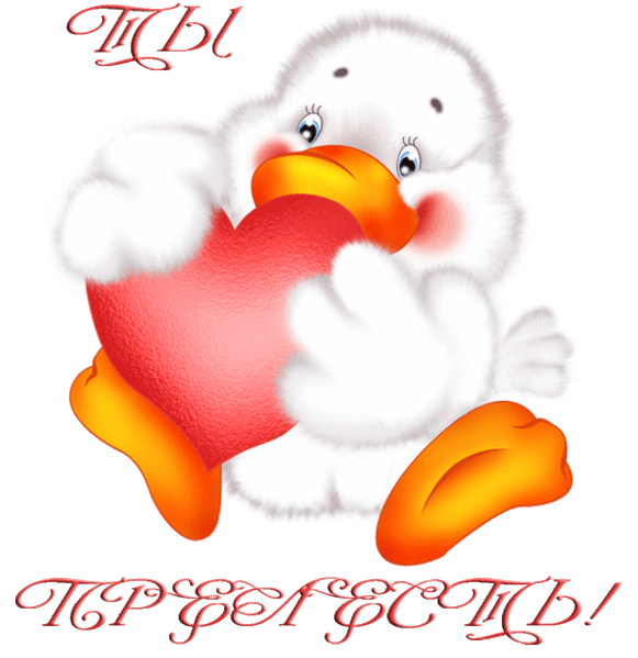 Загадочная И Невозможно Красивая - Club De Pesca De Mar Del Plata (554x587)