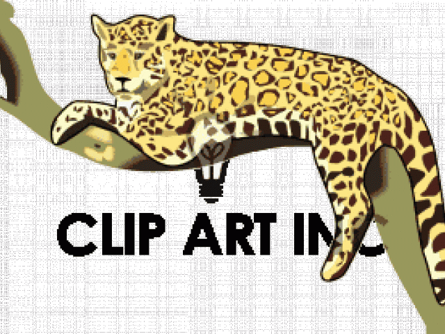 Jaguar Clipart Branch - Love Leopards Pillow Case (640x480)