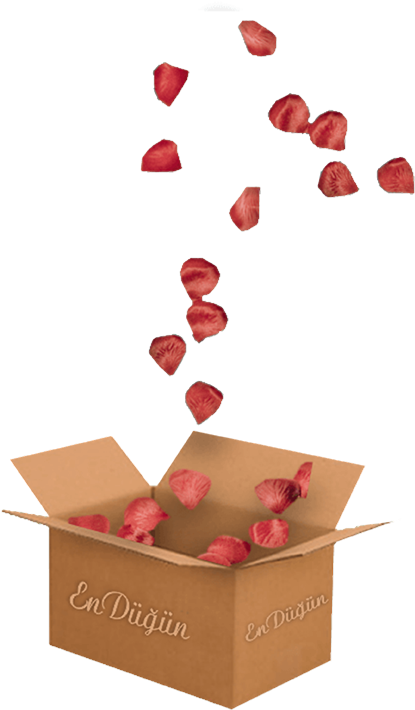 Nikah Şekeri - - Emballage Colis De 25 Caisses Simple Cannelure Brun (553x731)