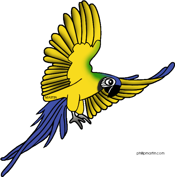 Rainforest Animals Clip Art By Phillip Martin, Jaguar - Jungle Birds Clip Art (640x648)