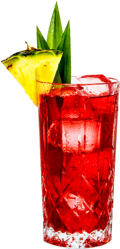 Tanqueray Cranberry Pineapple Gin & Juice - Tanqueray (493x1078)