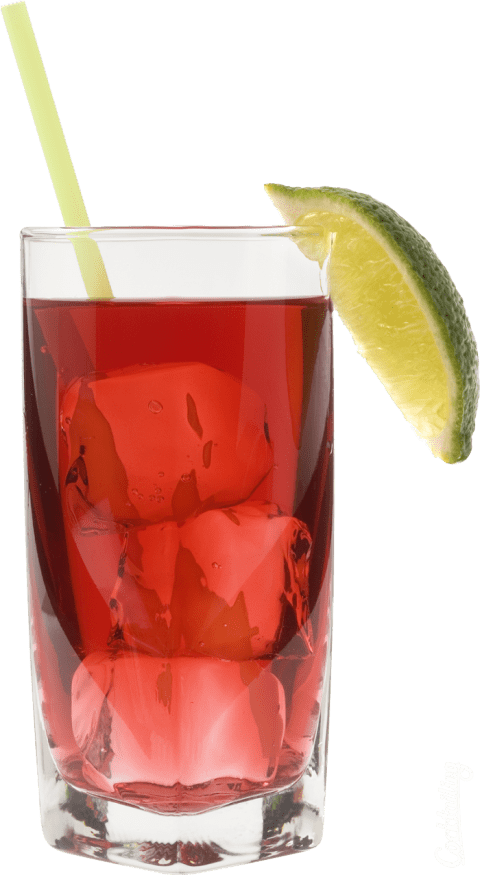 Free Png Cocktail Png Images Transparent - Cocktail (480x875)