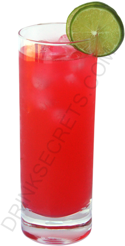 Cape Cod Cocktail Image - Cape Cod Cocktail Recipe (450x600)