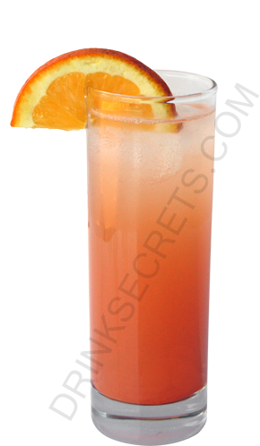 Orange Oasis Cocktail Image - Oasis Cocktail Png (450x600)