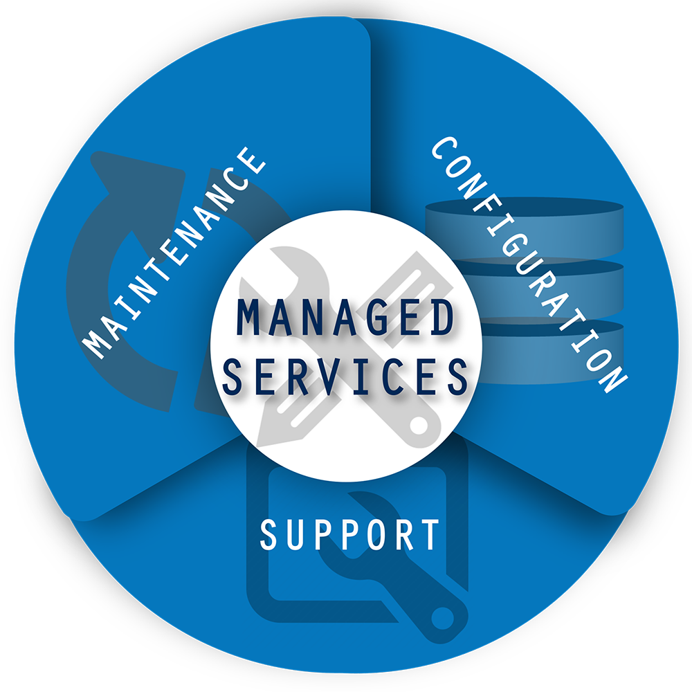Managed Services Icon Techrev - Cd (1000x1000)