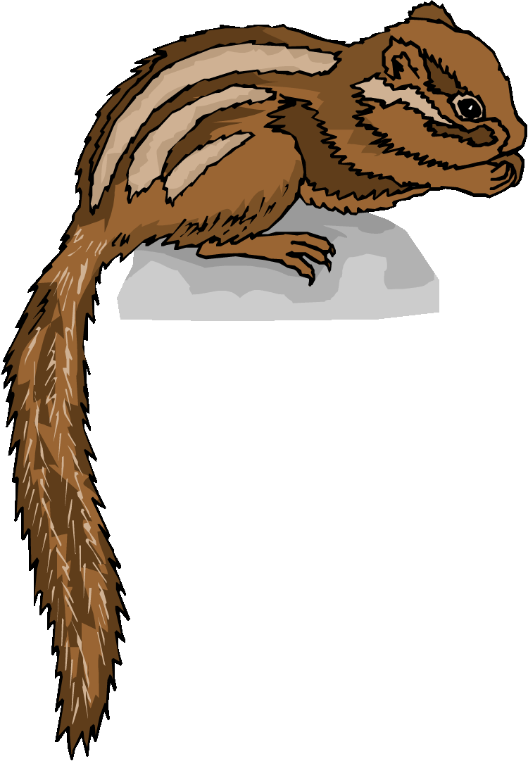 Chipmunk Clipart - Chipmunk Clipart Gif Animated (750x1081)