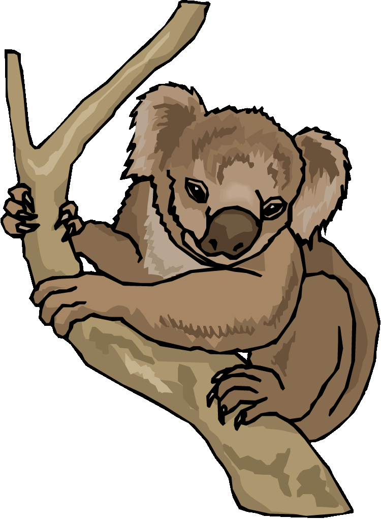Free Koala Clipart - Koala 6 Beach Towel (750x1021)