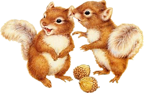 Squirrel Clipart Two - Two Squirrels Clipart (500x323)
