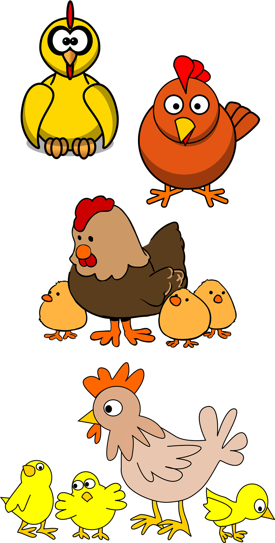 Cattle Baby Jungle Animals Farm Livestock Clip Art - Hen With Chicks Shower Curtain (1000x2000)