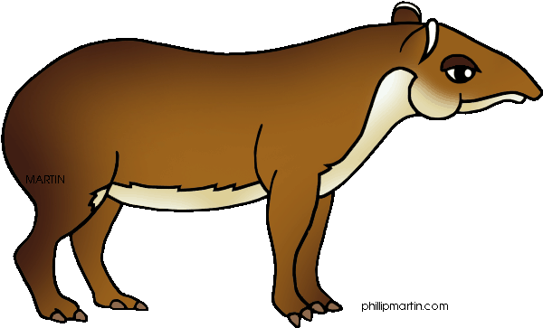 Mammal Clipart Rainforest Animal - Amazon Rainforest Animals Clipart (648x403)