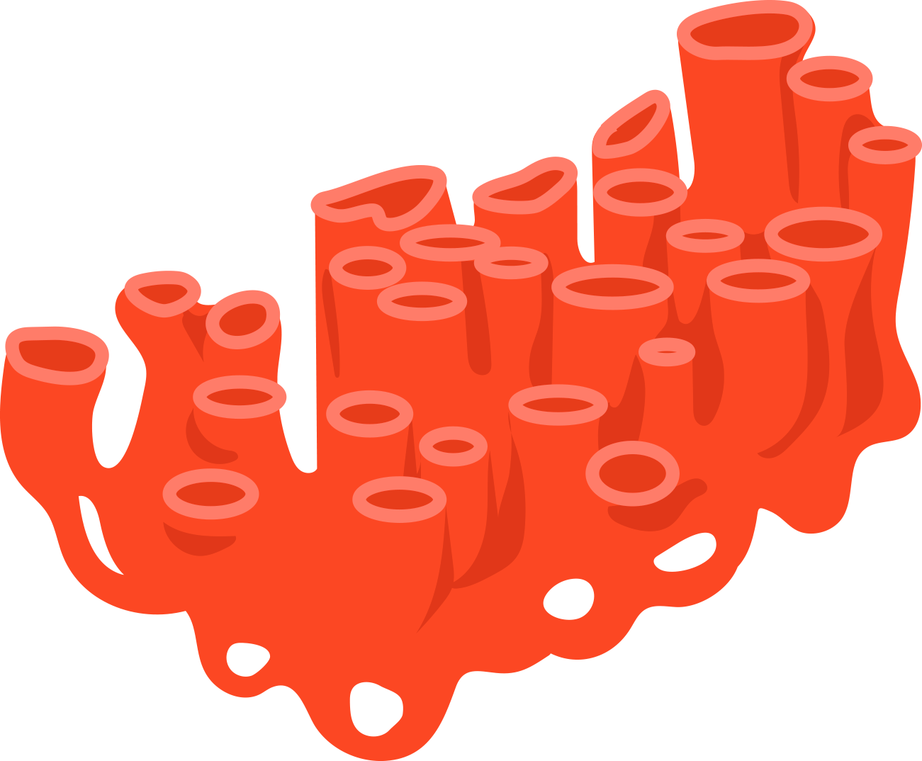 The World Of The Cell - The World Of The Cell (1301x1074)