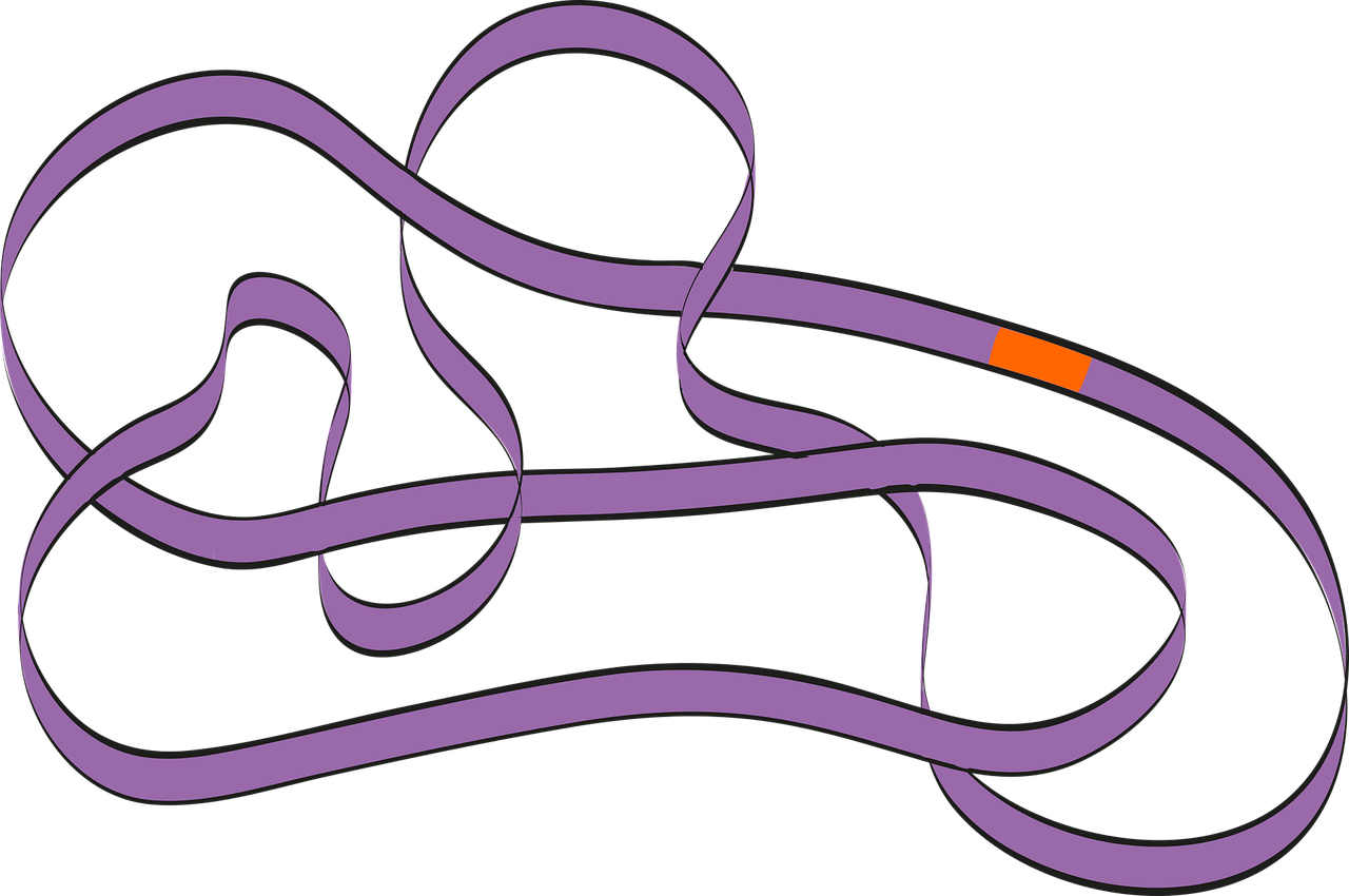 Circular Dna Bacteria Genetics Clip Art - Biology (1280x850)