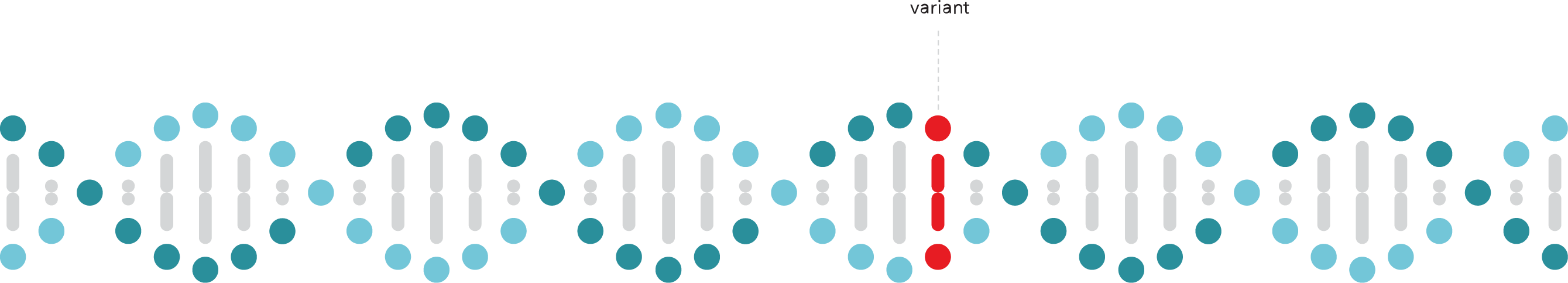 Dna Helix Variant - Circle (2679x483)