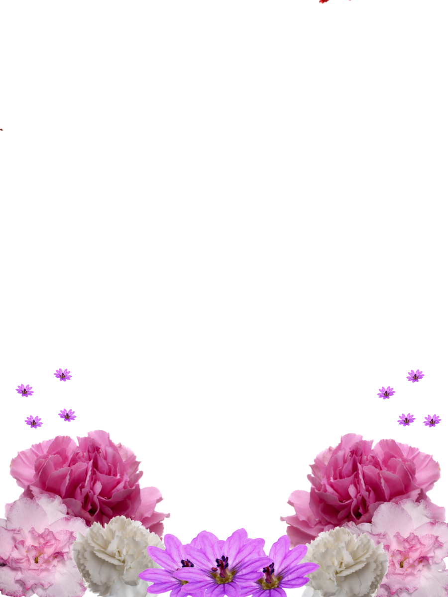 Picture Frames Flower Stock Photography Decorative - Natural Colorful Paua Abalone Shell Fish,dolphin (900x1200)