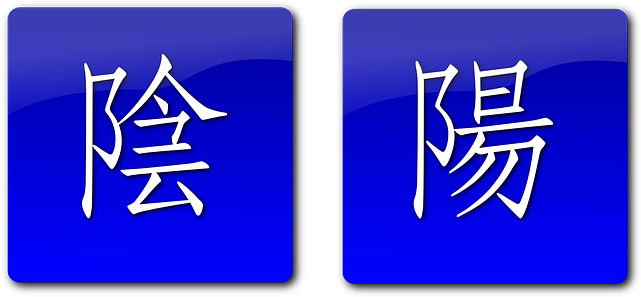 Yin Flat, Icon, Symbols, Yang, Yin - Yang - Round Pendant Necklace (640x320)