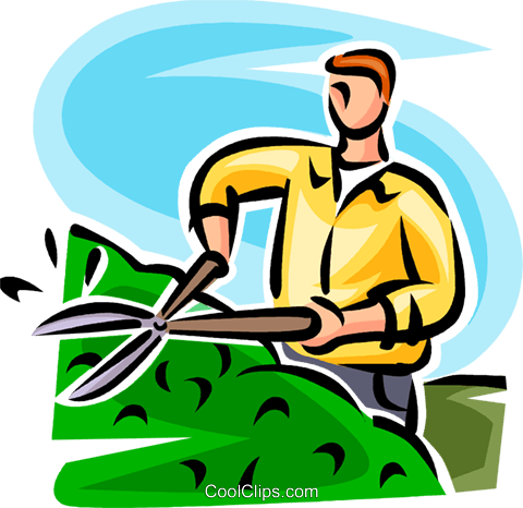 Man Trimming A Hedge Royalty Free Vector Clip Art Illustration - Hedge Clippers Clipart (480x466)