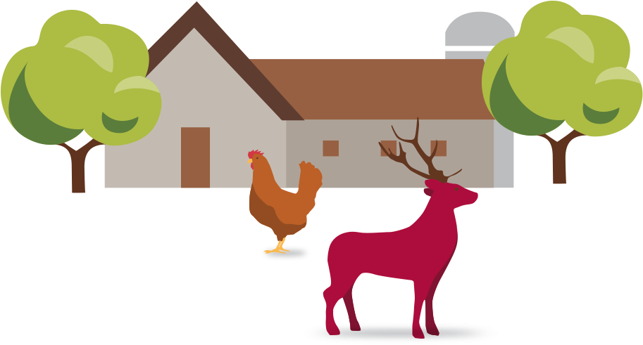 So, It Is Certainly Safe To Say That Our Laughing Dog - Farm (932x566)