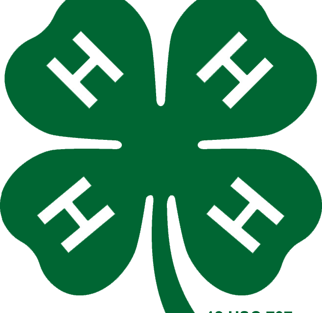 Yoakum County 4-h Selling Raffle Tickets - Official 4 H Logo (658x640)