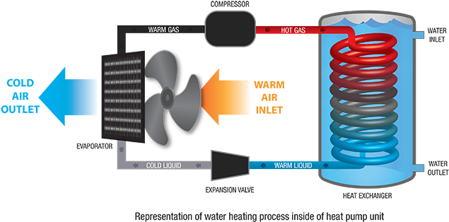 A Heat Pump Pool Heater Is Like An Energy Multiplier - Child (650x318)