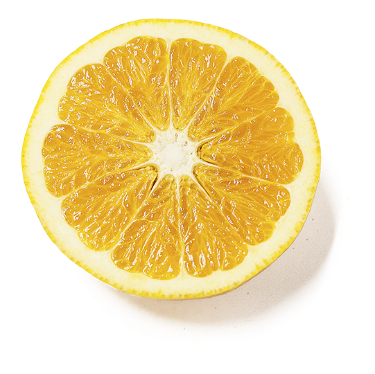 Buy Now - Close-up (600x600)