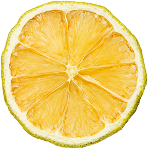 Dried Lemon - Photorealism (800x800)