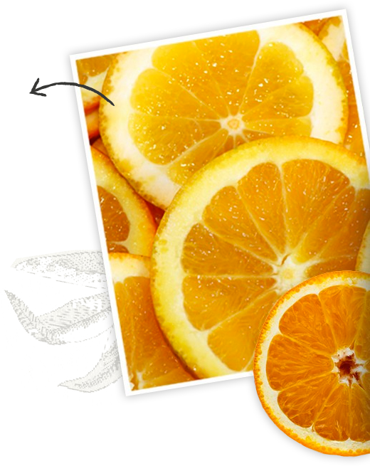 Vitamin C - Vitamin C (520x655)